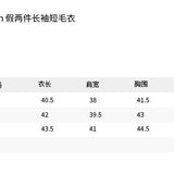 ANN ANDELMAN 2503 假两件翻领长袖毛衣 灰