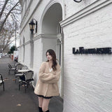 DIANA VEVINA 浣熊毛开衫 卡其
