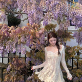 SHEER LUCK 2405 蕾丝收腰长袖连衣裙 杏