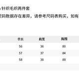 ANN ANDELMAN 2610 POLO领针织毛织两件套 藏蓝